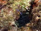 Curacao 04-12 472